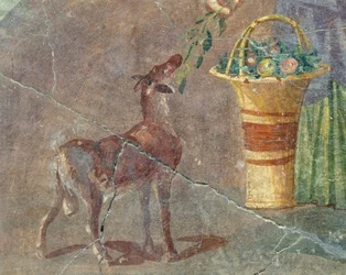 Chèvre et panier de fruits, fresque de Pompéi, Campanie, Italie, civilisation romaine