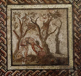 Récolte des raisins, de Saint-Romain-en-Gal