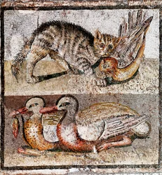 Art romain : mosaïque représentant un chat sauvage attrapant une perdrix et deux canards. 200-150 av. J.-C. Museo Nazionale Romano, Rome, Italie