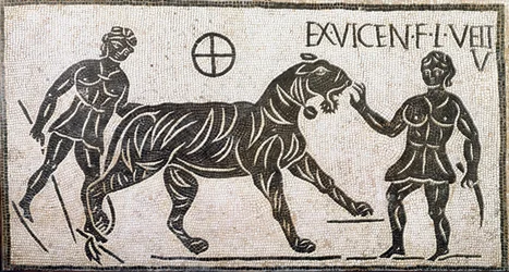 Art romain : « Deux femmes domptant un tigre » - Mosaïque provenant de Castro Pretorio à Rome, Ier siècle apr. J.-C. - Rome, Musée national romain