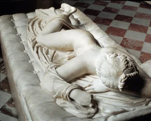 Hermaphrodite endormi