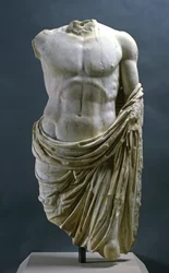 Torse d