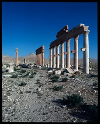 Vue des ruines de Palmyre