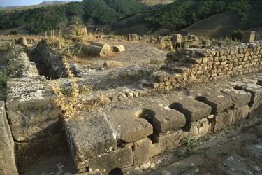Vue d
