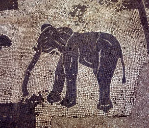 Ostie antique. Place des Corporations. Mosaïque de la Corporation des Marins de Sabratha