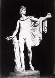Apollon du Belvédère, copie d
