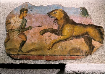 Gladiateur combattant un lion