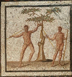 Récolte d