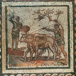 Labour et semailles. Mosaïque (mosaïque)
