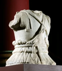 Torso sculpté d