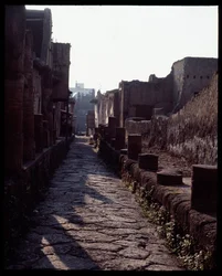 Vue d