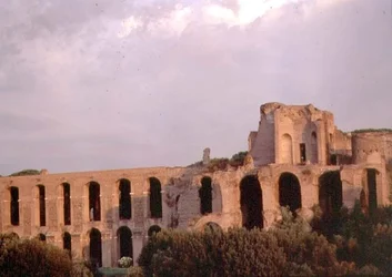 Vue du Palatin depuis le Circus Maximus
