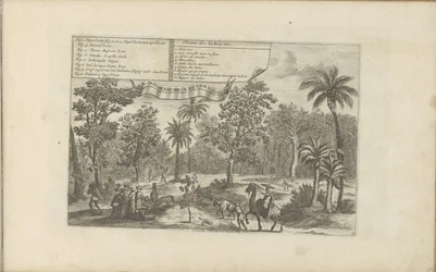 Arbres et épices