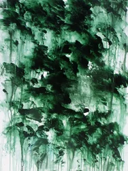 Forêt verte brumeuse
