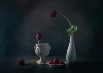 Tulipes et fraises mélancoliques