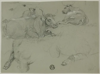 Esquisses de vaches
