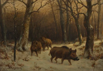 Sangliers dans la neige, v. 1872-77