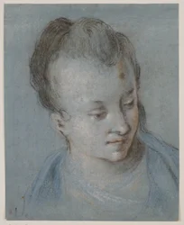 Tête de femme tournée vers la droite
