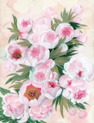 Fleurs de pivoine aux teintes rosées
