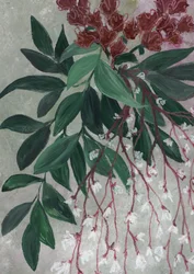 Feuilles vertes, fleurs blanches