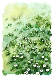 Fleurs de la prairie verte