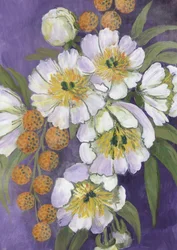 Fleurs blanches lumineuses