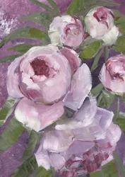 Pivoines roses à l