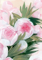 Fleurs de pivoine roses