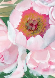 Fleur de pivoine rose