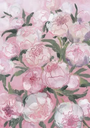 Pivoines rose pâle