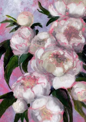 Pivoines rose pâle