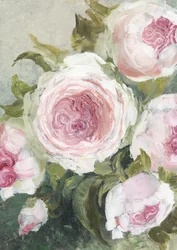 Roses rose pâle