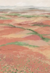 Des champs de coquelicots aux couleurs éclatantes