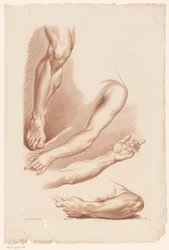Trois bras et une jambe