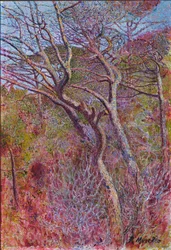 Paysage, Studio, vers 1907