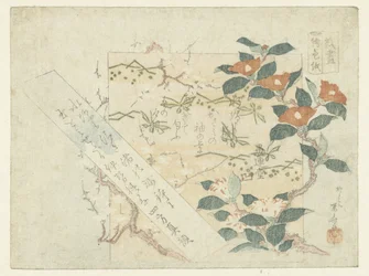 Feuilles de poésie