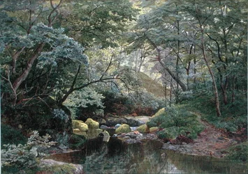 Un ruisseau forestier