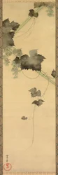 Vignes