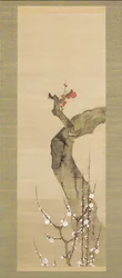 Fleurs de prunier rouges et blanches