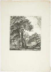 Mouton près d