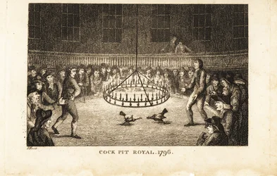 Joueurs regardant un combat de coqs à la lueur des bougies au Cock Pit Royal, St