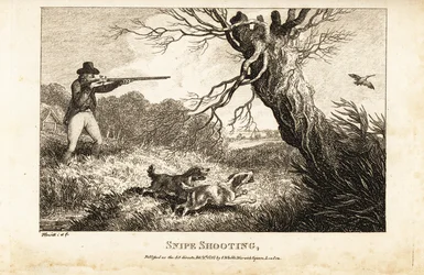 Chasseur avec mousquet et épagneuls chassant la bécassine près d