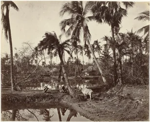 Scène de village au Bengale, Inde