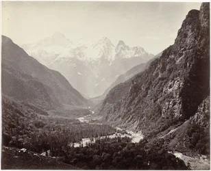 Vue d