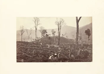 Darjeeling; Vue de la plantation de thé Selim, montrant la fabrique supérieure et le bungalow