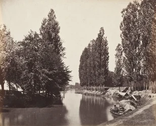 Rivière avec des arbres (Inde)
