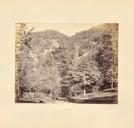 Simla ; Jakko, depuis "Oakover" (Vue générale depuis la route de Tonga)