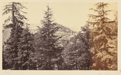 Simla ; l