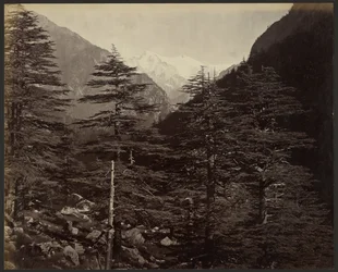 Pics enneigés près de Gangotri, depuis Bhairamghati