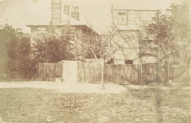 Arbre dans la cour, années 1850